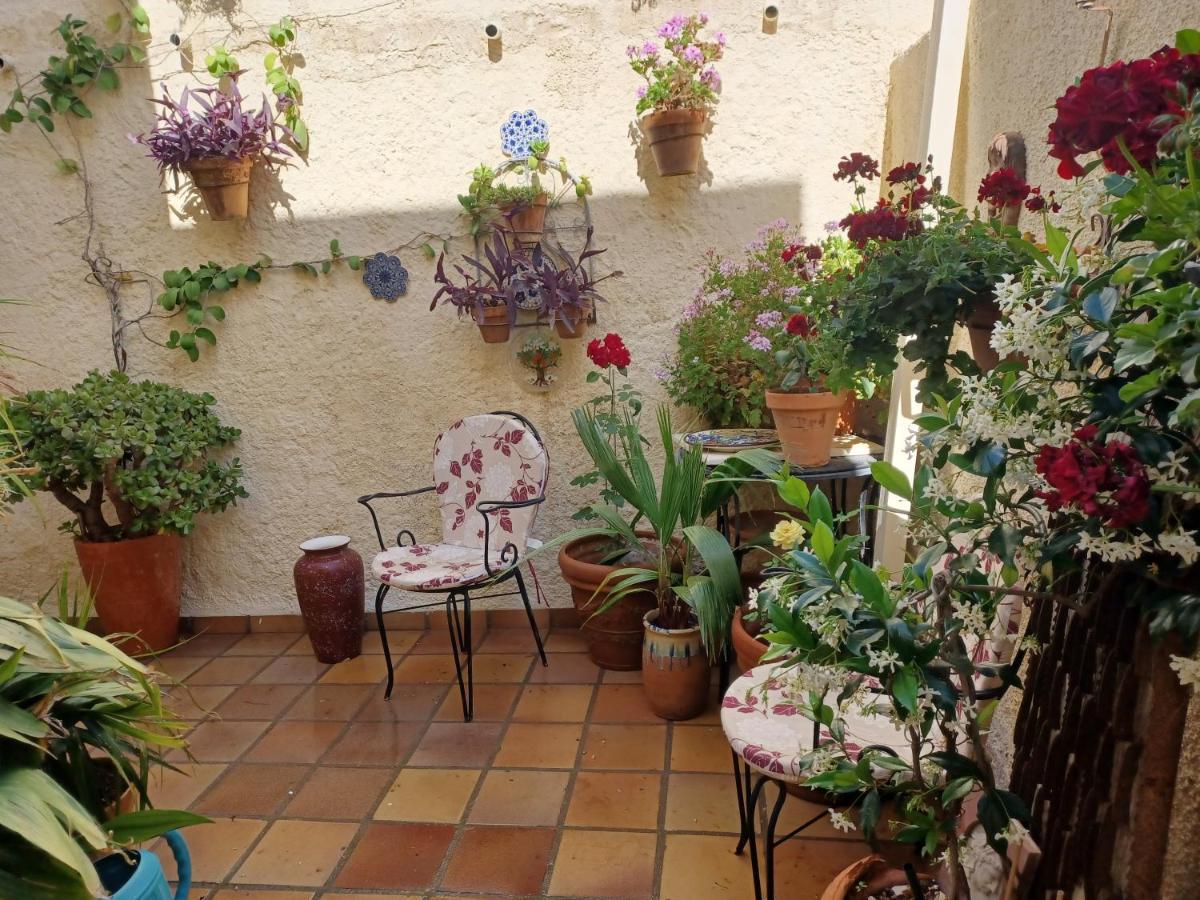 Casa Rural B&B Casamedico Турре Экстерьер фото